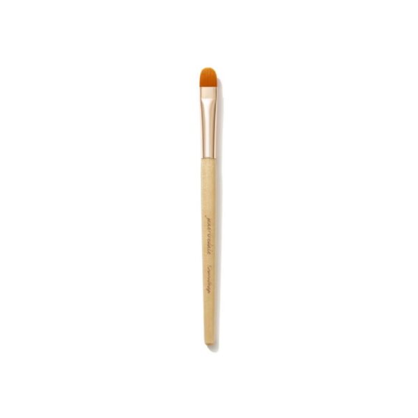 JANE IREDALE CAMOUFLAGE BRUSH – maskuoklio šepetėlis